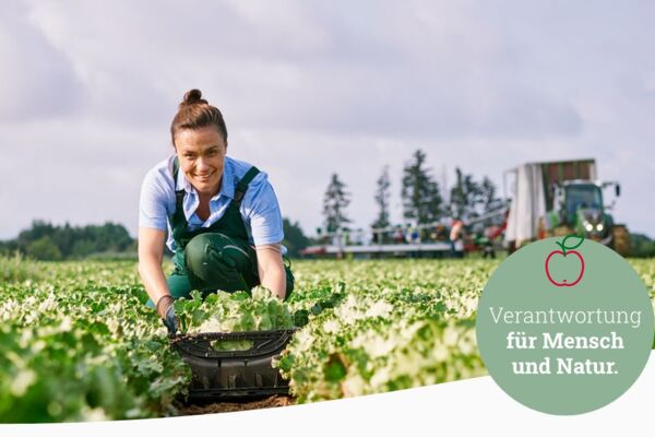 Frau erntet Salat auf einem Feld, im Hintergrund Traktor und Team – Symbol für Verantwortung gegenüber Mensch und Natur.
