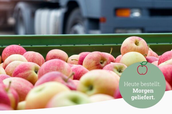 Frisch geerntete rot-gelbe Äpfel in grüner Kiste vor einem Lkw zur Auslieferung.